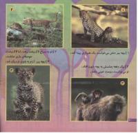 مجله خردسال 192 صفحه 20