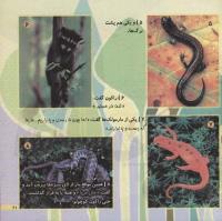 مجله خردسال 193 صفحه 21