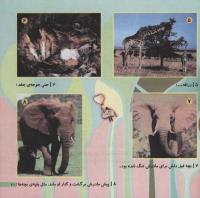 مجله خردسال 194 صفحه 21