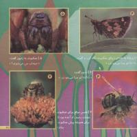 مجله خردسال 195 صفحه 21