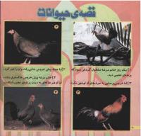مجله خردسال 196 صفحه 20