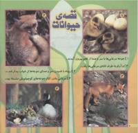 مجله خردسال 197 صفحه 20