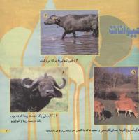 مجله خردسال 200 صفحه 21