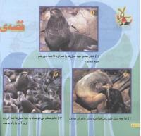 مجله خردسال 201 صفحه 20