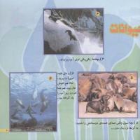 مجله خردسال 201 صفحه 21