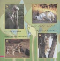 مجله خردسال 202 صفحه 21