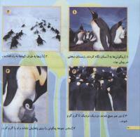مجله خردسال 203 صفحه 20
