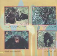 مجله خردسال 204 صفحه 21
