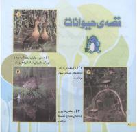 مجله خردسال 206 صفحه 20