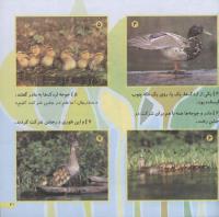 مجله خردسال 206 صفحه 21