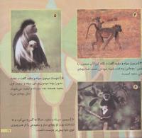 مجله خردسال 211 صفحه 21
