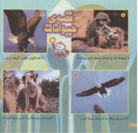 مجله خردسال 212 صفحه 20