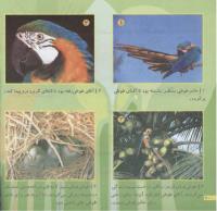 مجله خردسال 213 صفحه 20