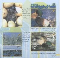 مجله خردسال 215 صفحه 20