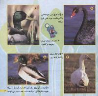 مجله خردسال 215 صفحه 21