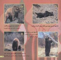 مجله خردسال 216 صفحه 21