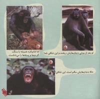 مجله خردسال 228 صفحه 21
