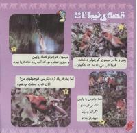 مجله خردسال 229 صفحه 20