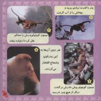 مجله خردسال 229 صفحه 21