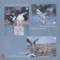 مجله خردسال 230 صفحه 21