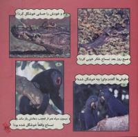 مجله خردسال 231 صفحه 21