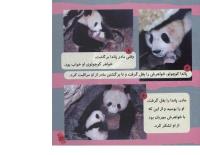 مجله خردسال 234 صفحه 21