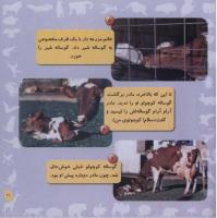 مجله خردسال 237 صفحه 21