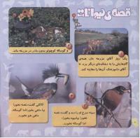 مجله خردسال 237 صفحه 20
