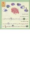 مجله خردسال 242 صفحه 17