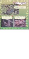 مجله خردسال 242 صفحه 20
