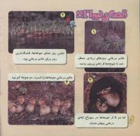 مجله خردسال 245 صفحه 20