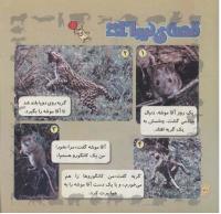 مجله خردسال 247 صفحه 20