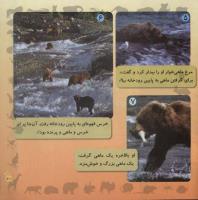 مجله خردسال 251 صفحه 21