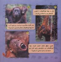 مجله خردسال 254 صفحه 21