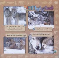 مجله خردسال 258 صفحه 20