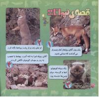 مجله خردسال 261 صفحه 20