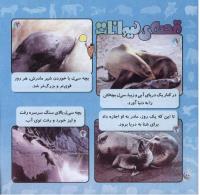 مجله خردسال 262 صفحه 20