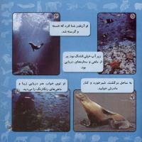 مجله خردسال 262 صفحه 21
