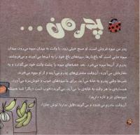 مجله خردسال 263 صفحه 22