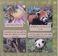 مجله خردسال 263 صفحه 20