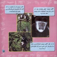 مجله خردسال 264 صفحه 21