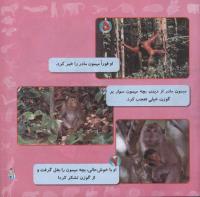 مجله خردسال 267 صفحه 21