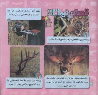 مجله خردسال 268 صفحه 20