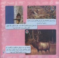 مجله خردسال 268 صفحه 21