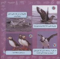 مجله خردسال 270 صفحه 21