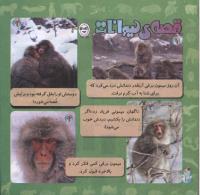 مجله خردسال 271 صفحه 20
