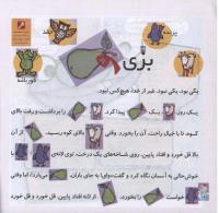 مجله خردسال 271 صفحه 18
