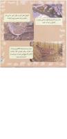 مجله خردسال 276 صفحه 21