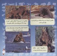مجله خردسال 278 صفحه 21