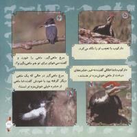 مجله خردسال 279 صفحه 21